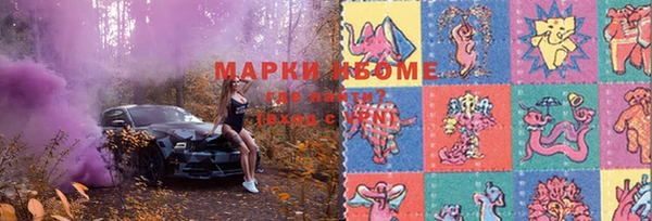 эйфоретик Вяземский