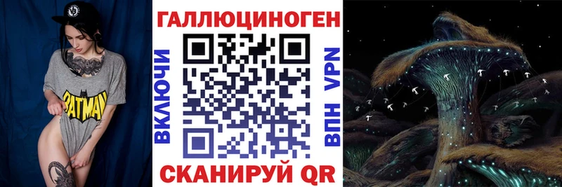 Псилоцибиновые грибы MAGIC MUSHROOMS  где найти   Жуковка 